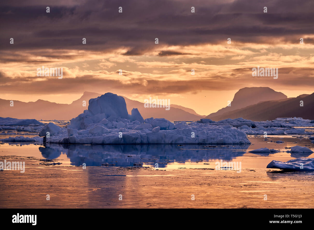 Eisberge, Icefjord, Grönland Stockfoto