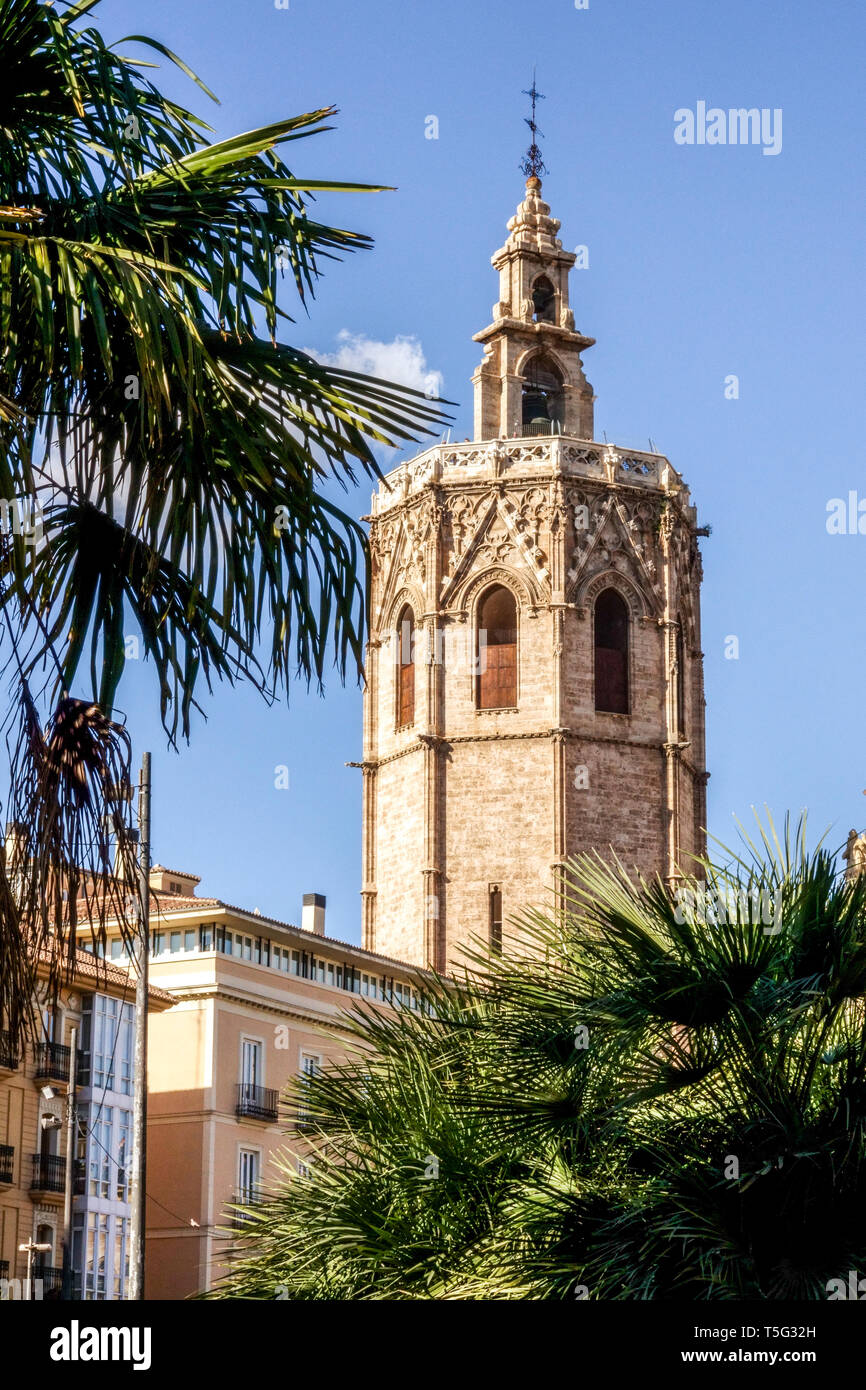 Spanien Glockenturm von Valencia El Micalet mit Palme, Kathedralenturm Kathedrale von Valencia vom Plaza de la Reina, Europa Stockfoto
