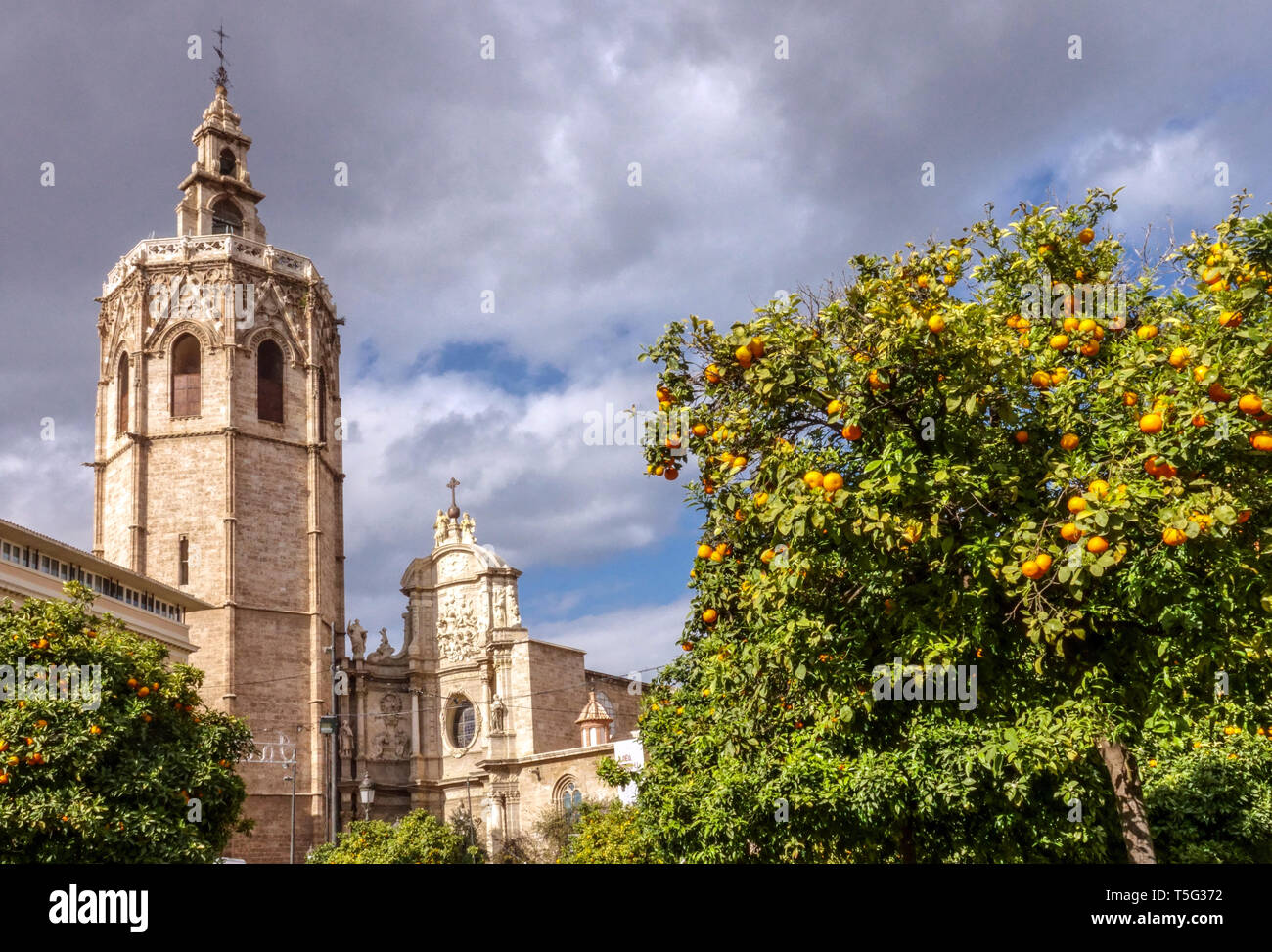 Valencia Spanien, El Miguelet Tower, Kathedrale von Valencia von der Plaza de la Reina Orangen-Baum von Valencia, Spanien Europa Stockfoto