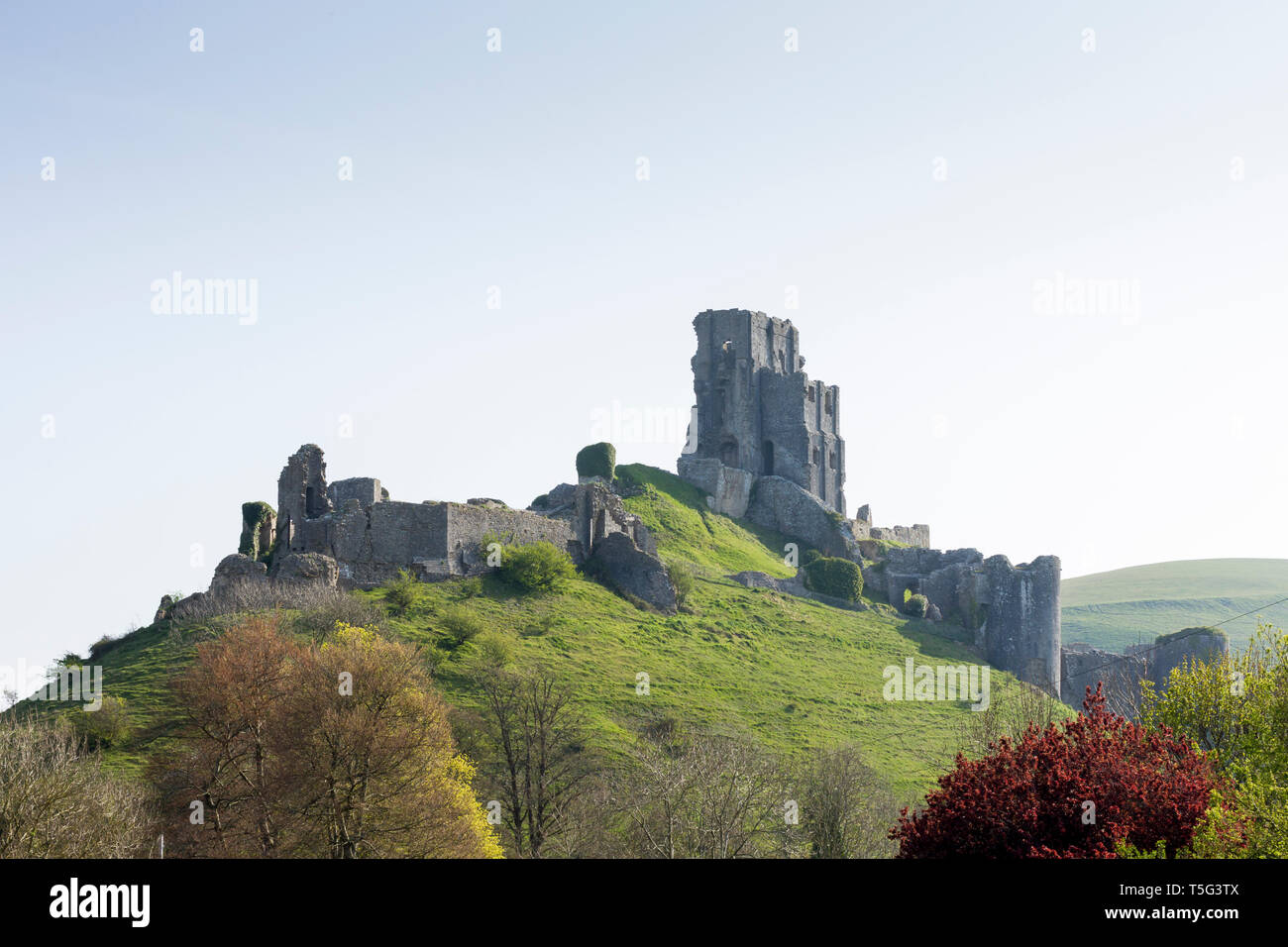 Blick auf die antiken Ruinen von Corfe Castle in Dorset, England. Großbritannien Stockfoto