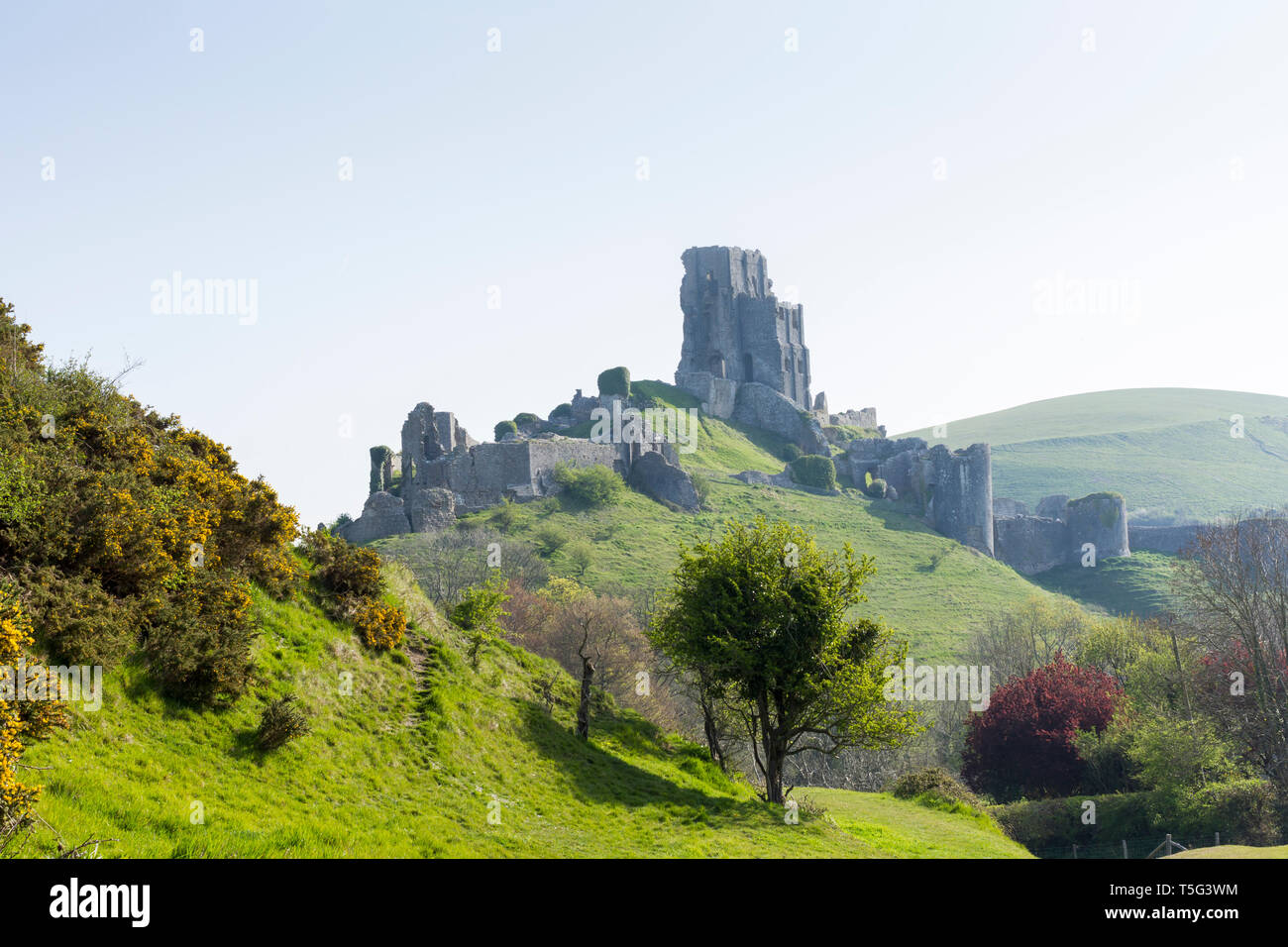 Blick auf die antiken Ruinen von Corfe Castle in Dorset, England. Großbritannien Stockfoto