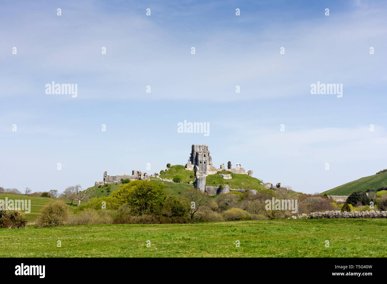 Corfe Castle im Frühjahr, Dorset, England, Großbritannien Stockfoto