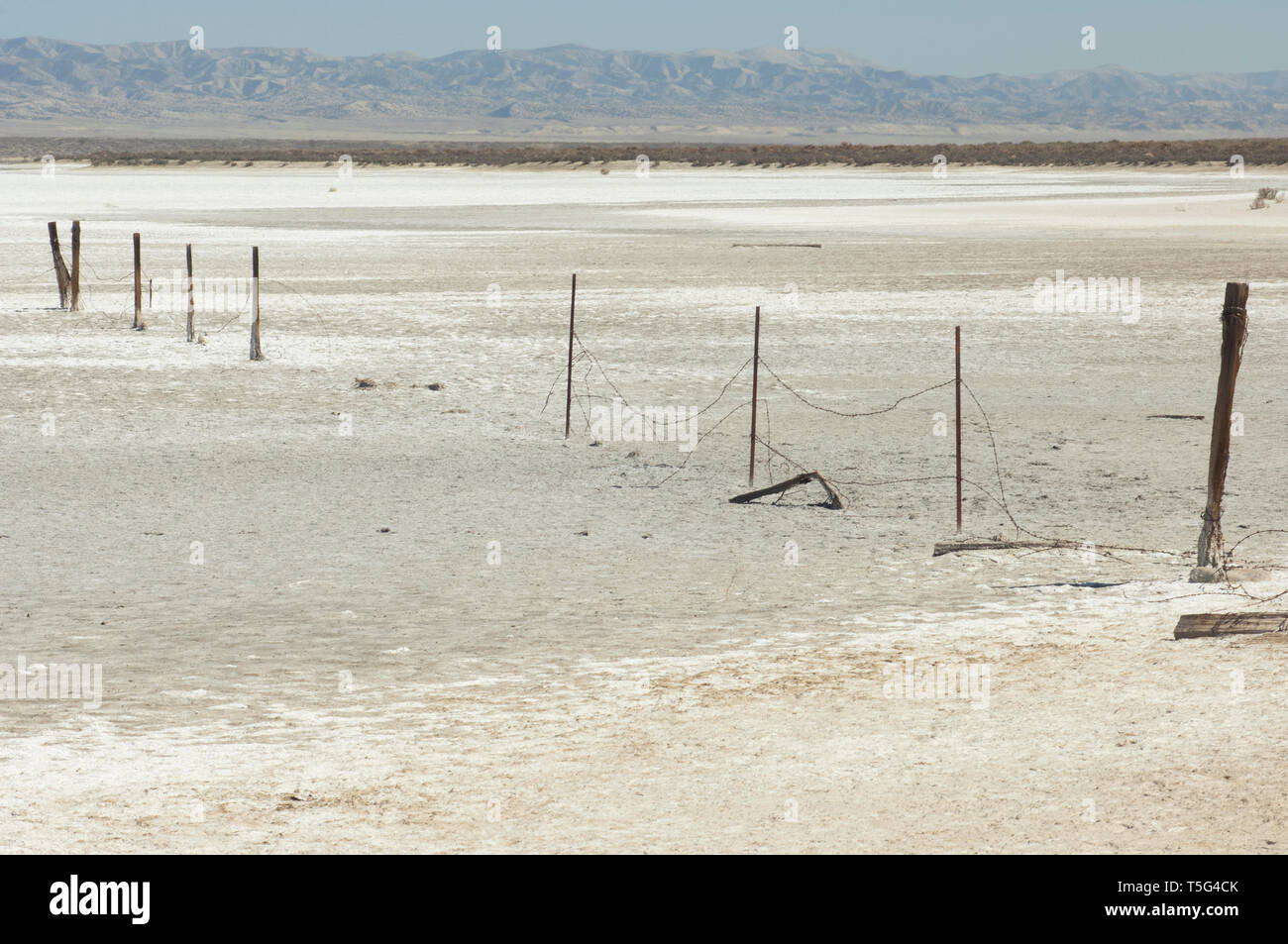 Salzkruste von Soda See auf der San Andreas Störung, Carrizo Plain National Monument, Kalifornien. Digitale Fotografie Stockfoto