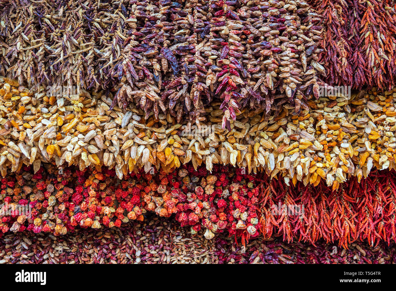 Getrocknete Pflanzen auf einem Markt in Funchal auf der Insel Madeira, Portugal. Stockfoto