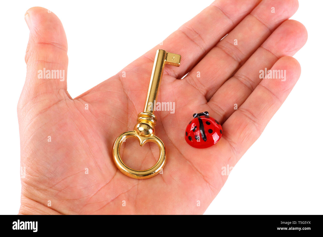 Hand mit einem goldenen Schlüssel und Marienkäfer als Symbol des Glücks - isoliert Stockfoto