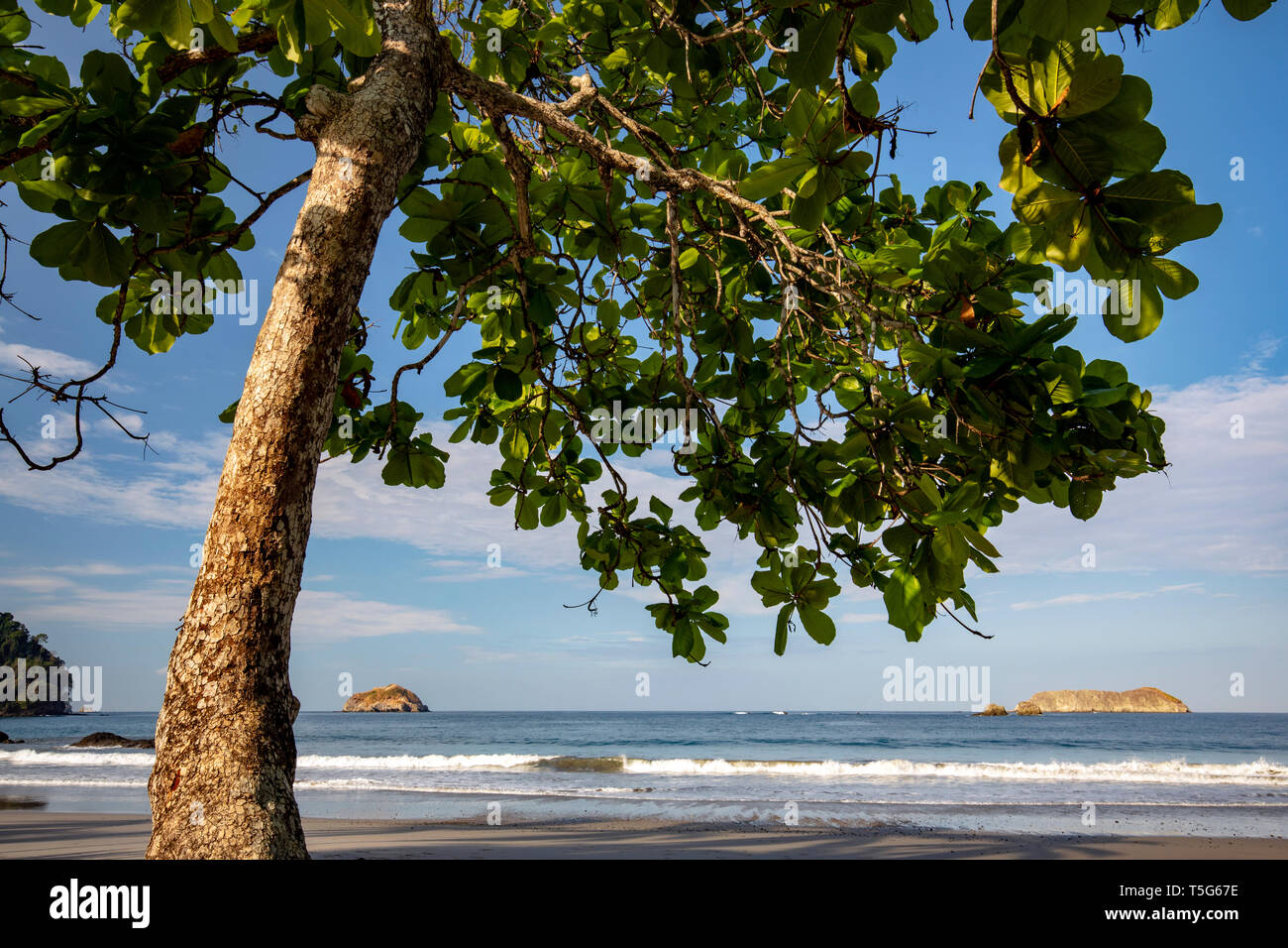 Tropische Aussicht auf die Küste von espadilla Norte Strand, Manuel Antonio, Quepos, Costa Rica Stockfoto