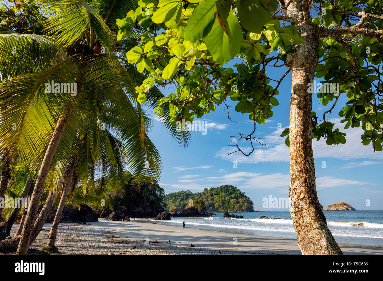 Tropische Aussicht auf die Küste von espadilla Norte Strand, Manuel Antonio, Quepos, Costa Rica Stockfoto