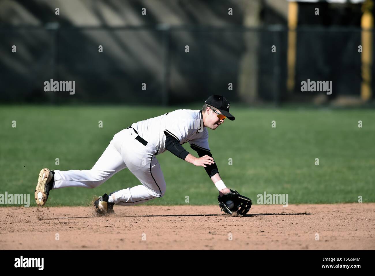 Shortstop eine tauchen Stoppen der Ball vor die Füße und das Werfen der hitter eine erste Basis. USA. Stockfoto