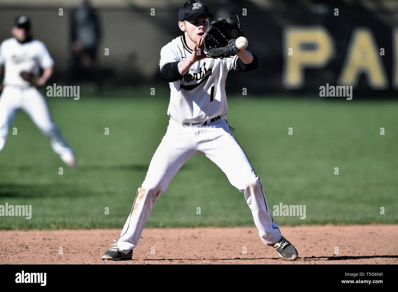 Dritter Basisspieler Fielding eine Kugel auf einem hohen Hop vor dem Werfen die erste Basis der hitter, in den Ruhestand zu treten. USA. Stockfoto