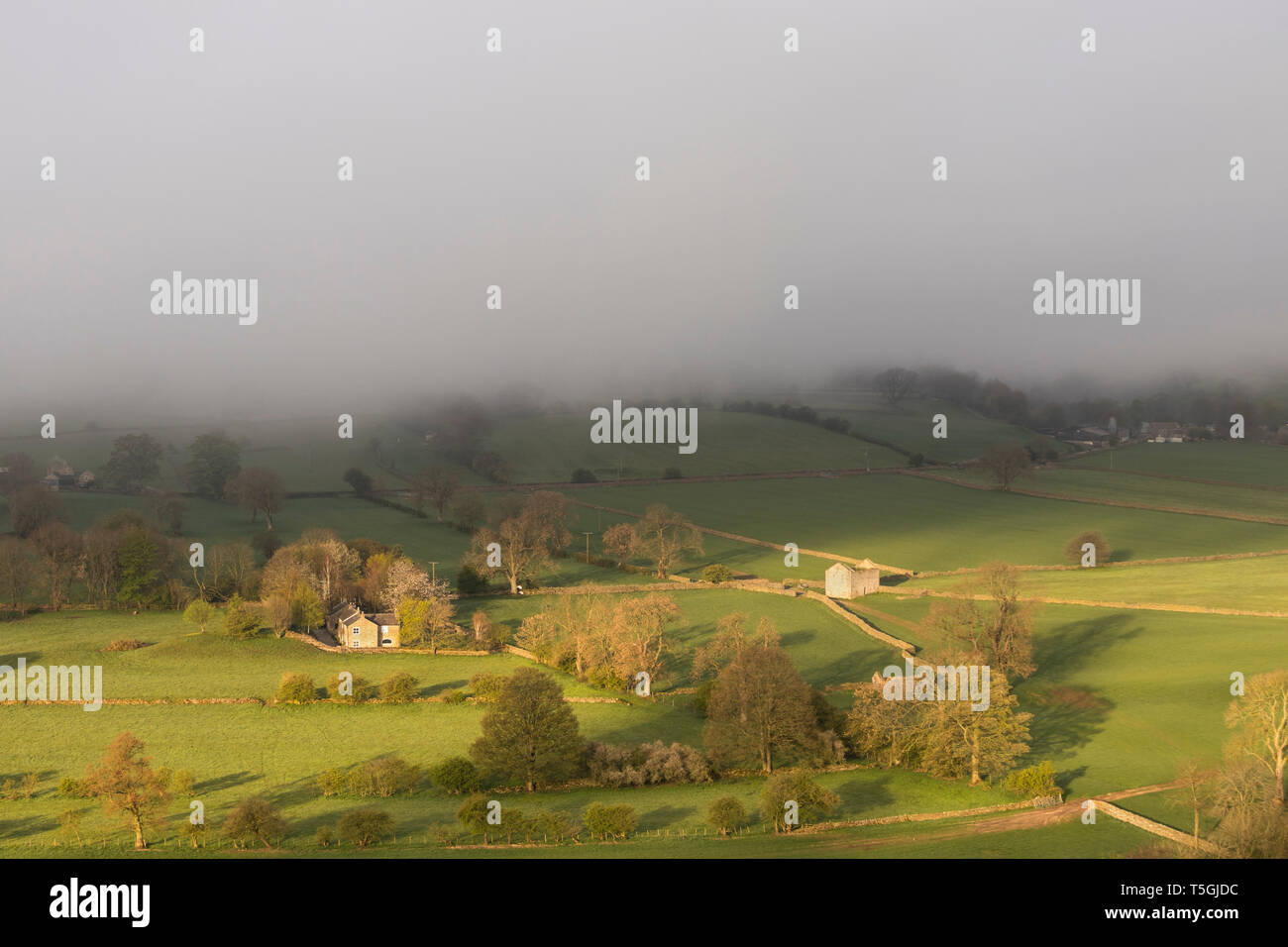 Teesdale, County Durham, UK. Donnerstag, den 25. April 2019. UK Wetter. Es war kühl und nebelig, Start in den Tag, als das Wetter mehr im Norden von England verunsichert wird. Die Prognose für die Duschen in aus dem Süden zu verbreiten wie der Morgen weiterkommt, aber es gibt eine Chance von sonnig. Am Nachmittag. Quelle: David Forster/Alamy leben Nachrichten Stockfoto