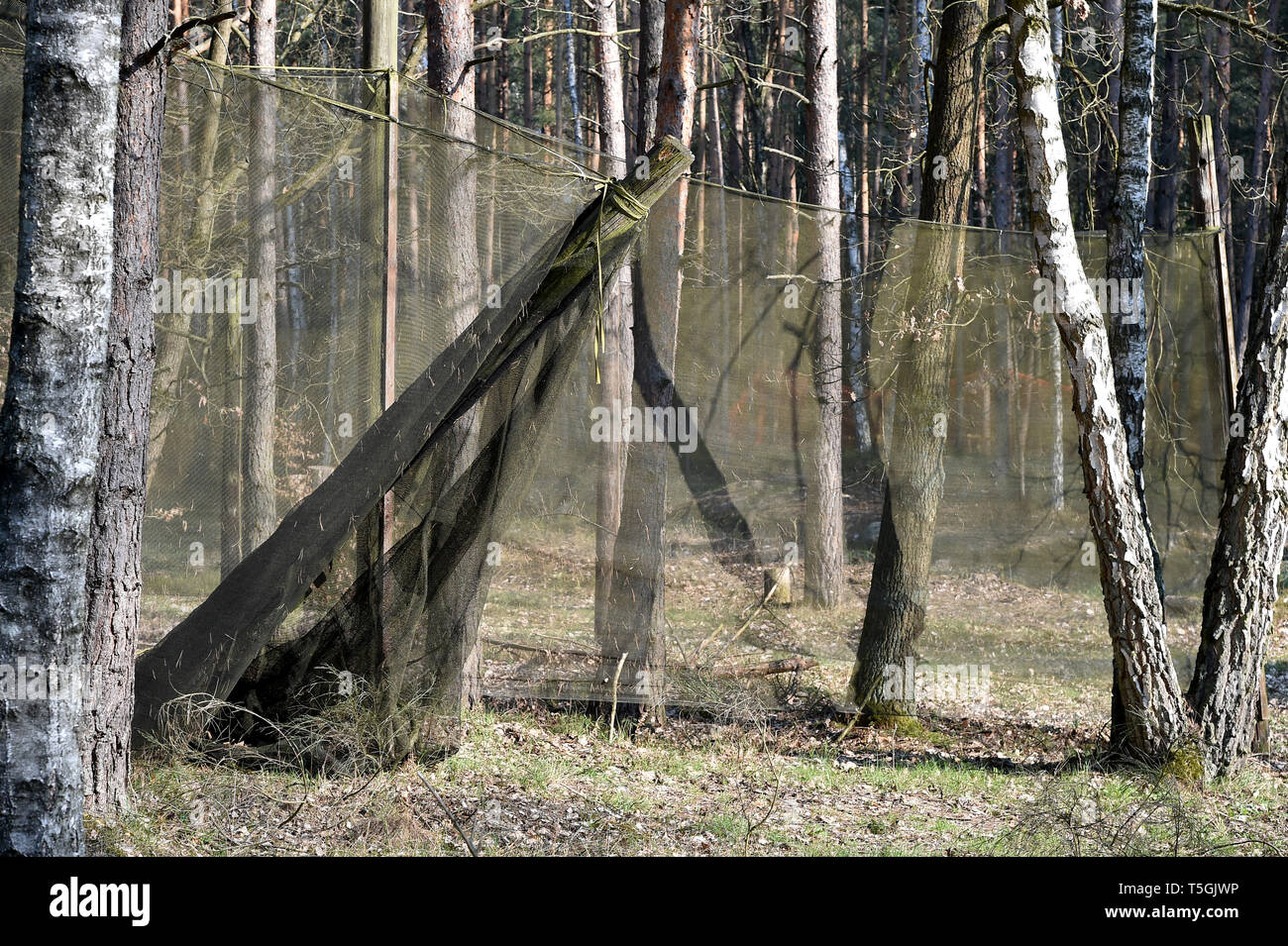 06 April 2019, Brandenburg, Prötzel Ot Harnekop: Der Mieter der oben genannten Website die atomare Bunker Harnekop, hat ein Teil der Website mit Netzen für Paintball Spieler abgegrenzt. Auf drei Etagen 30 Meter unter der Erde, die DDR-Verteidigungsminister und seine hochrangige Kommandeure wollten sich im Falle eines Krieges zu verankern. Der derzeitige Eigentümer hat die Website und die Bunker zu verschiedenen Pächtern, die im Streit über die Rechte der Nutzung zugewiesen sind. Foto: Bernd Settnik/dpa-Zentralbild/ZB Stockfoto