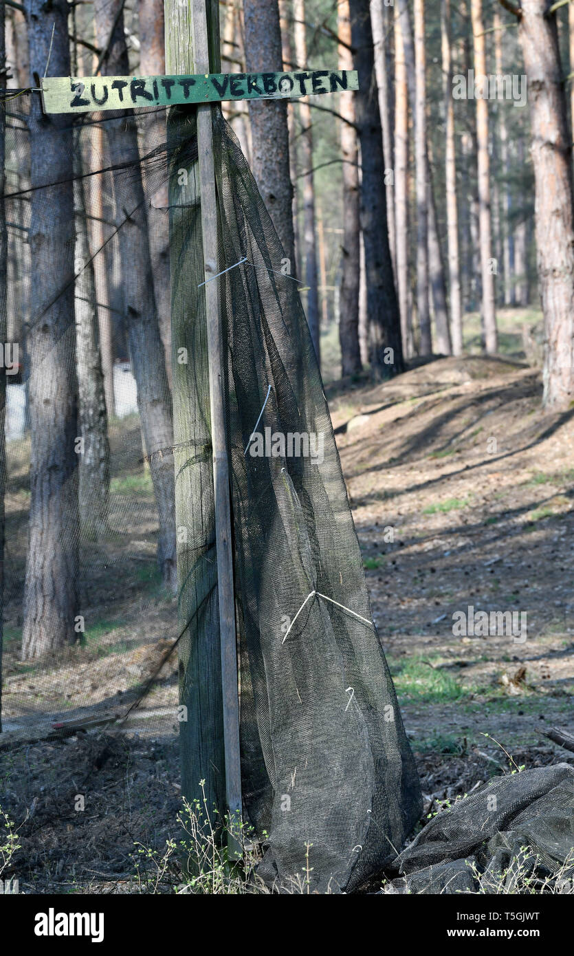 06 April 2019, Brandenburg, Prötzel Ot Harnekop: Der Mieter der oben genannten Website die atomare Bunker Harnekop, hat ein Teil der Website mit Netzen für Paintball Spieler abgegrenzt. Auf drei Etagen 30 Meter unter der Erde, die DDR-Verteidigungsminister und seine hochrangige Kommandeure wollten sich im Falle eines Krieges zu verankern. Der derzeitige Eigentümer hat die Website und die Bunker zu verschiedenen Pächtern, die im Streit über die Rechte der Nutzung zugewiesen sind. Foto: Bernd Settnik/dpa-Zentralbild/ZB Stockfoto