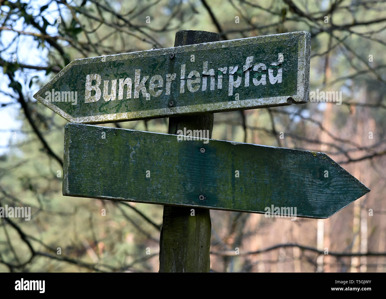 06 April 2019, Brandenburg, Prötzel Ot Harnekop: Wegweiser geben Orientierung auf dem Gelände der Atombunker Harnekop, welche in den 1970er Jahren gebaut wurde. Auf drei Etagen 30 Meter unter der Erde, die DDR-Verteidigungsminister und seine hochrangige Kommandeure wollten sich im Falle eines Krieges zu verankern. Der derzeitige Eigentümer hat die Website und die Bunker zu verschiedenen Pächtern, die im Streit über die Rechte der Nutzung zugewiesen sind. Foto: Bernd Settnik/dpa-Zentralbild/ZB Stockfoto