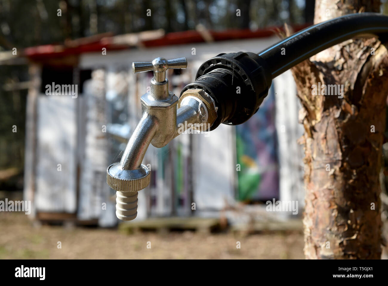06 April 2019, Brandenburg, Prötzel Ot Harnekop: eine Dusche und Toilette erinnert an die Camping Nutzung der Bereich über dem Atom Bunker Harnekop. Auf drei Etagen 30 Meter unter der Erde, die DDR-Verteidigungsminister und seine hochrangige Kommandeure wollten sich im Falle eines Krieges zu verankern. Der derzeitige Eigentümer hat die Website und die Bunker zu verschiedenen Pächtern, die im Streit über die Rechte der Nutzung zugewiesen sind. Foto: Bernd Settnik/dpa-Zentralbild/ZB Stockfoto