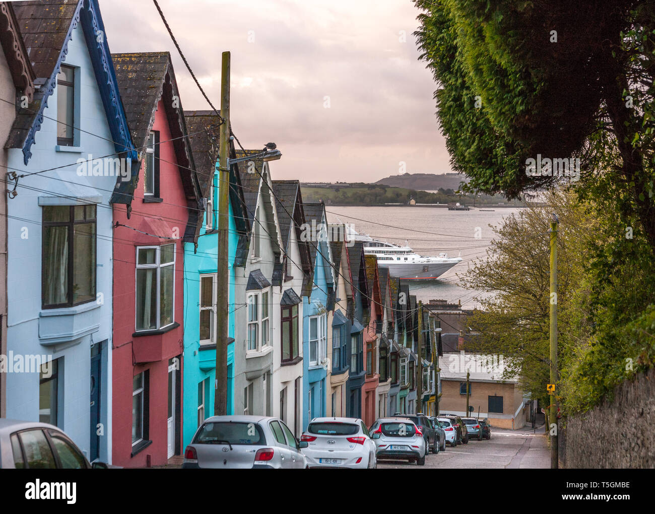 Cobh, Cork, Irland. 25. April 2019. Französische Kreuzfahrt Schiff L'Austral parow bis hinter die Karten Häuser auf Blick nach Westen in Richtung der Deep Water Quay in Cobh, Co Cork, Irland. Quelle: David Creedon/Alamy leben Nachrichten Stockfoto