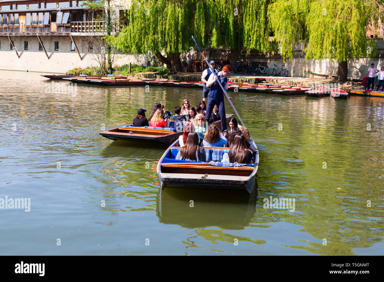 Stocherkähne auf der Mühle Teich auf dem Fluss Cam, Universitätsstadt Cambridge, Cambridgeshire, England Stockfoto