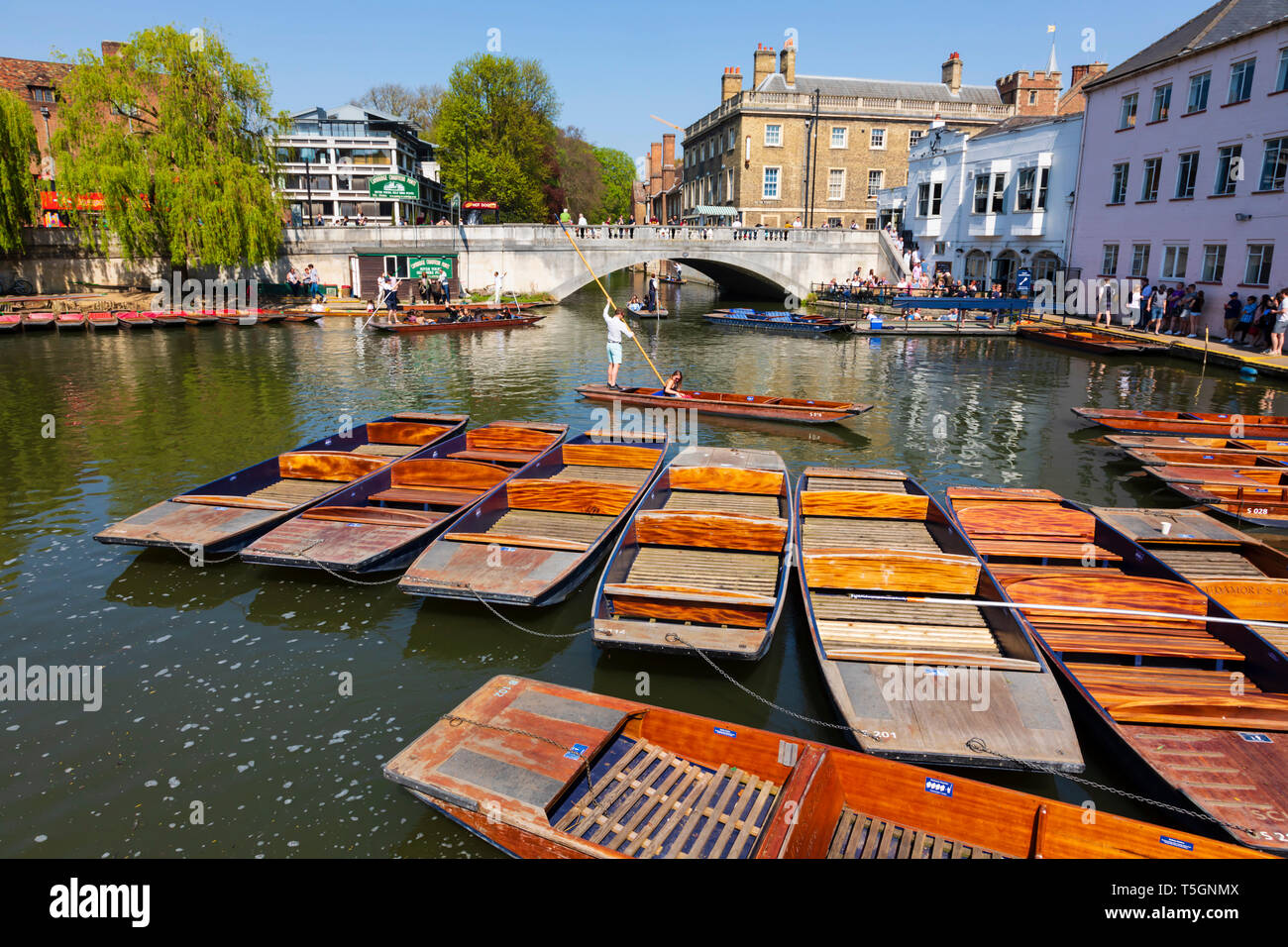 Leere Stocherkähne auf der Mühle Teich, Fluss Cam, Universitätsstadt Cambridge, Cambridgeshire, England Stockfoto
