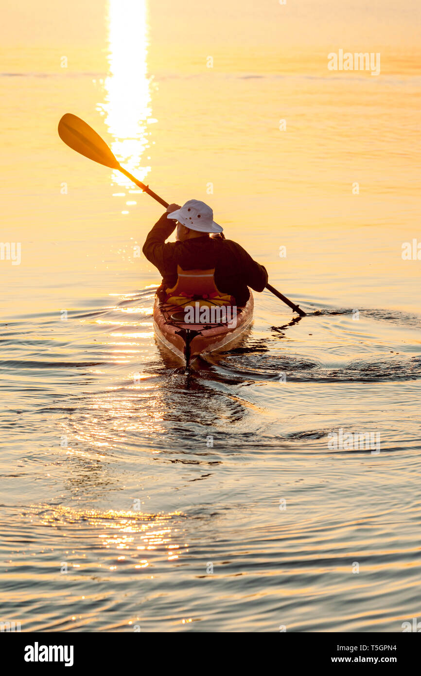 Aktive, unabhängige ältere Mann Kajakfahren im Meer bei Sonnenaufgang oder Sonnenuntergang. Outdoor Adventure Sport genießen, gesunden Ruhestand Lebensstile in der wunderschönen Natur. Stockfoto