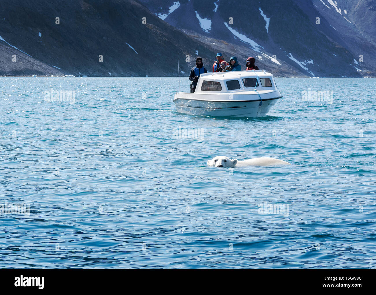 Grönland, Sermersooq, Kulusuk, Ikateq Fjord, die Menschen auf dem Boot beobachten Eisbären Stockfoto