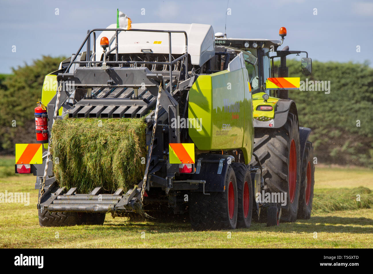 Kirwee, Canterbury, Neuseeland, 27. März 2019: ein Claas Presse und Traktor am Arbeitsplatz die Heuballen auf der Südinsel landwirtschaftliches Feld Tage Veranstaltung Stockfoto