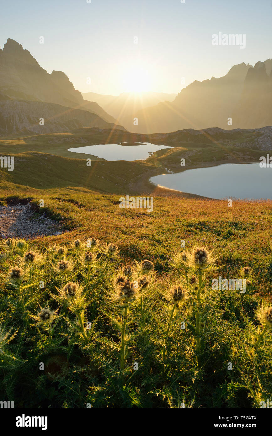 Laghi dei Piani und Innrichriedlknoten Berg bei Sonnenaufgang, Sextner Dolomiten, Italien Stockfoto