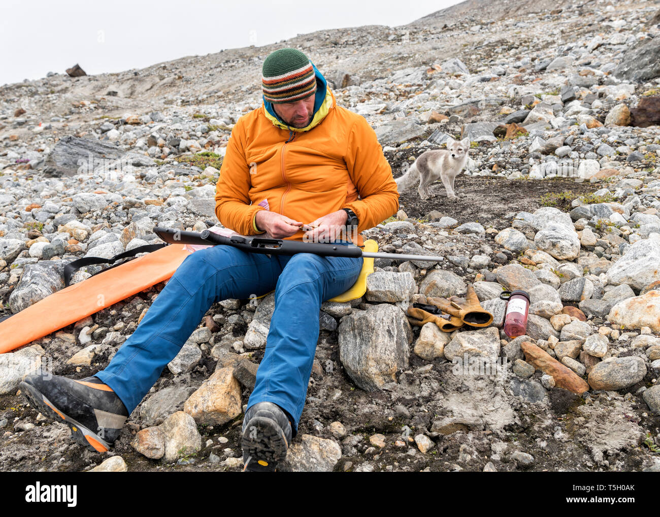 Grönland, Sermersooq, Kulusuk, Schweizerland Alpen, Mann mit Gewehr und Arctic fox Stockfoto