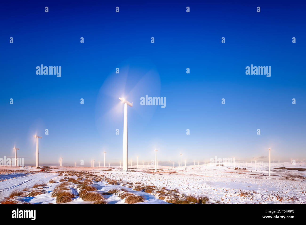 Großbritannien, Schottland, East Lothian, Lammermuir Hills, Windräder im Schnee Stockfoto
