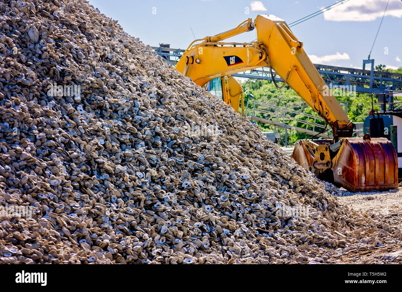Ein Caterpillar Hydraulikbagger ist neben einem Haufen von austernschalen, 14. April 2019, in Bayou La Batre, Alabama geparkt. Stockfoto