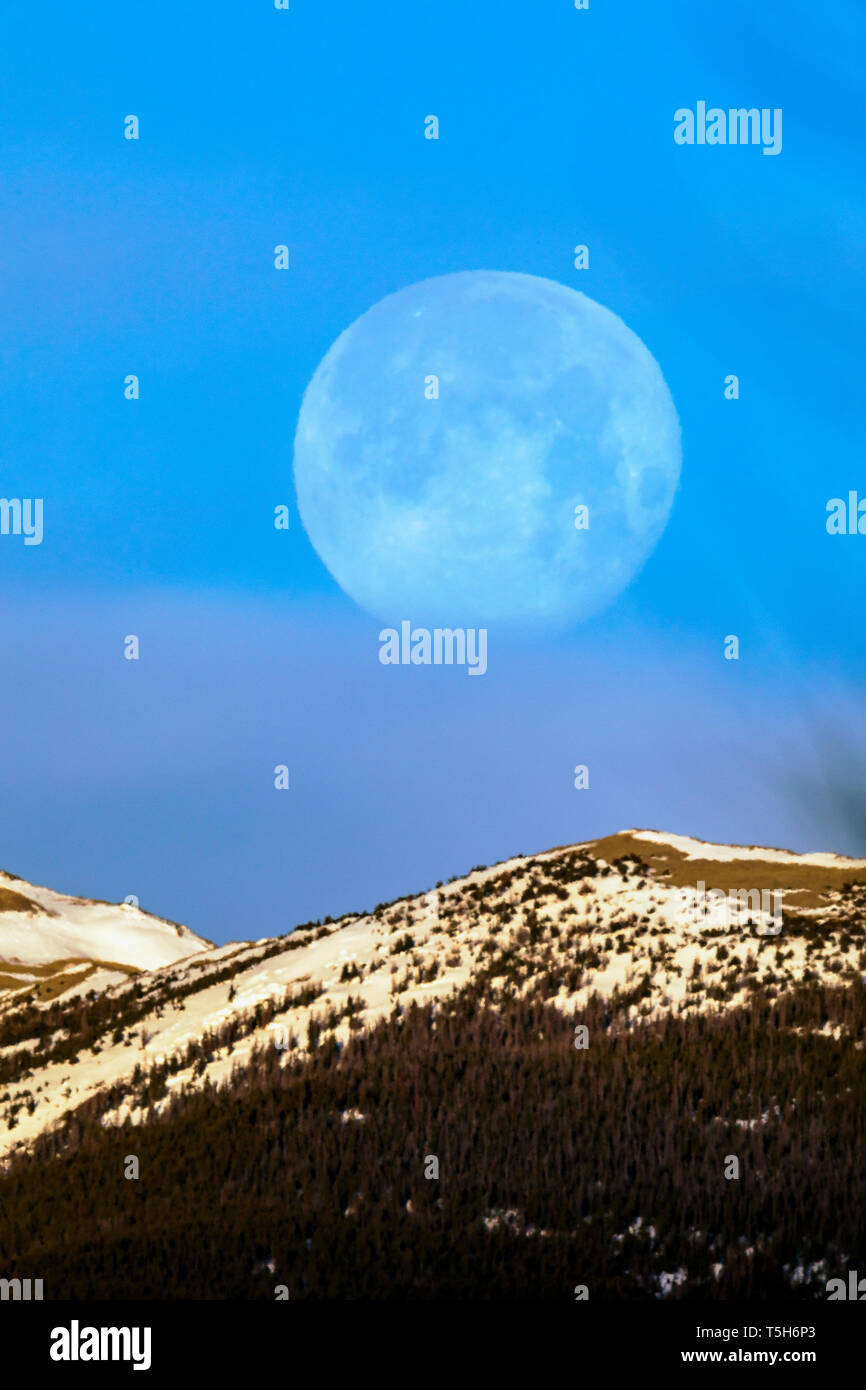 Vollmond bei Sonnenaufgang über Rocky Mountains, Salida, Colorado, USA Stockfoto