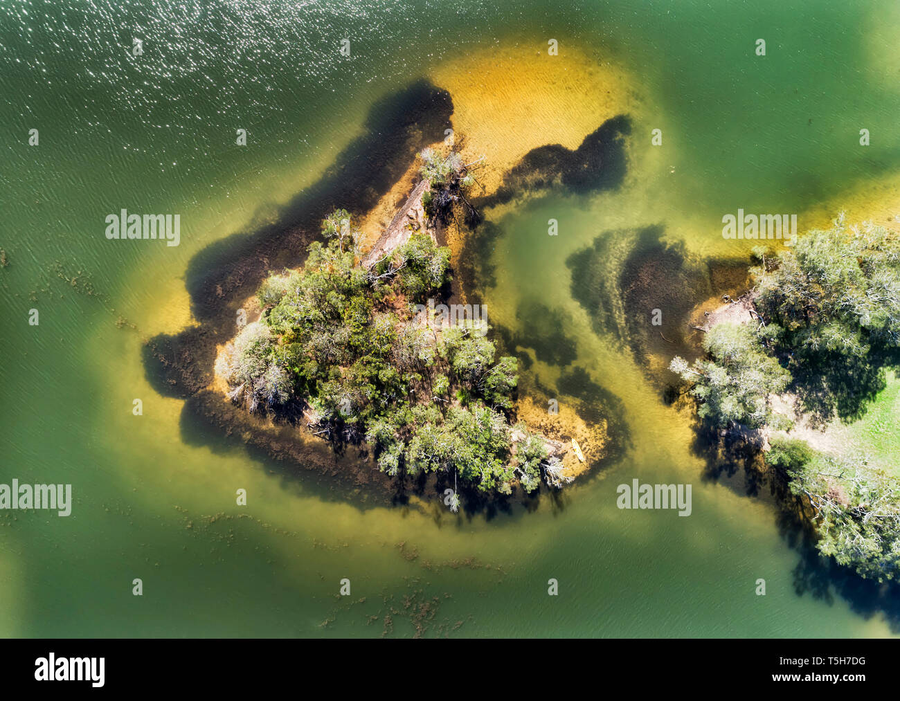 Kleine sandige Insel im seichten Wasser der Northbridge Lagune an einem sonnigen Tag von dichten Bäumen bedeckt - beliebtes Ziel für Kanu und Kajak Erholung. Stockfoto