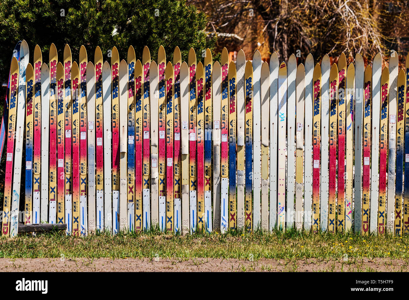 Zaun aus alten Alpinski, Salida, Colorado hergestellt; USA Stockfoto