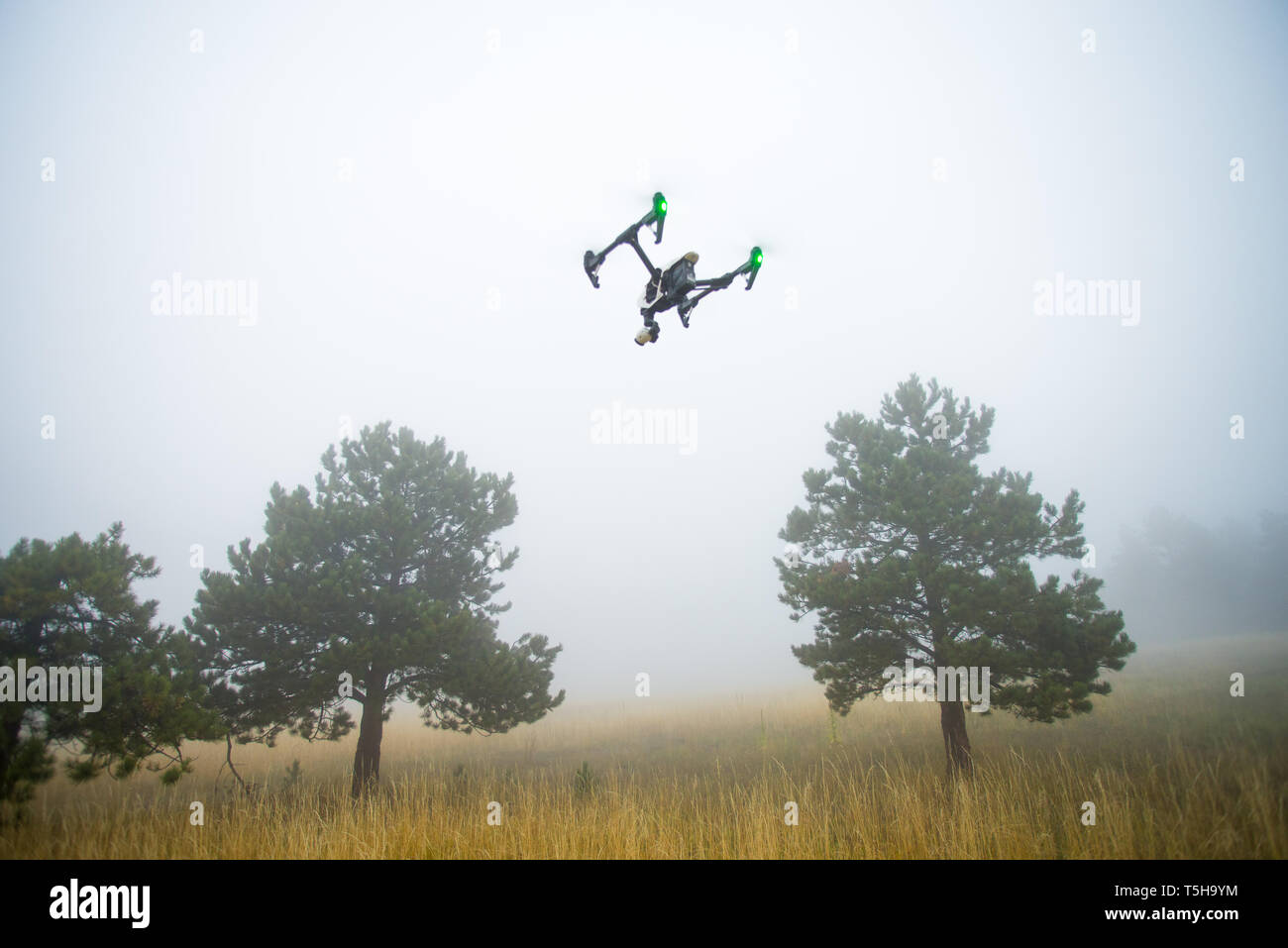 DJI Drohne Fliegen über dem Feld Stockfoto
