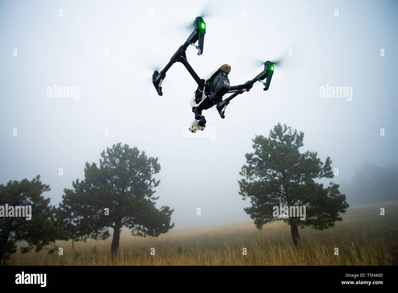 DJI Drohne Fliegen über dem Feld Stockfoto