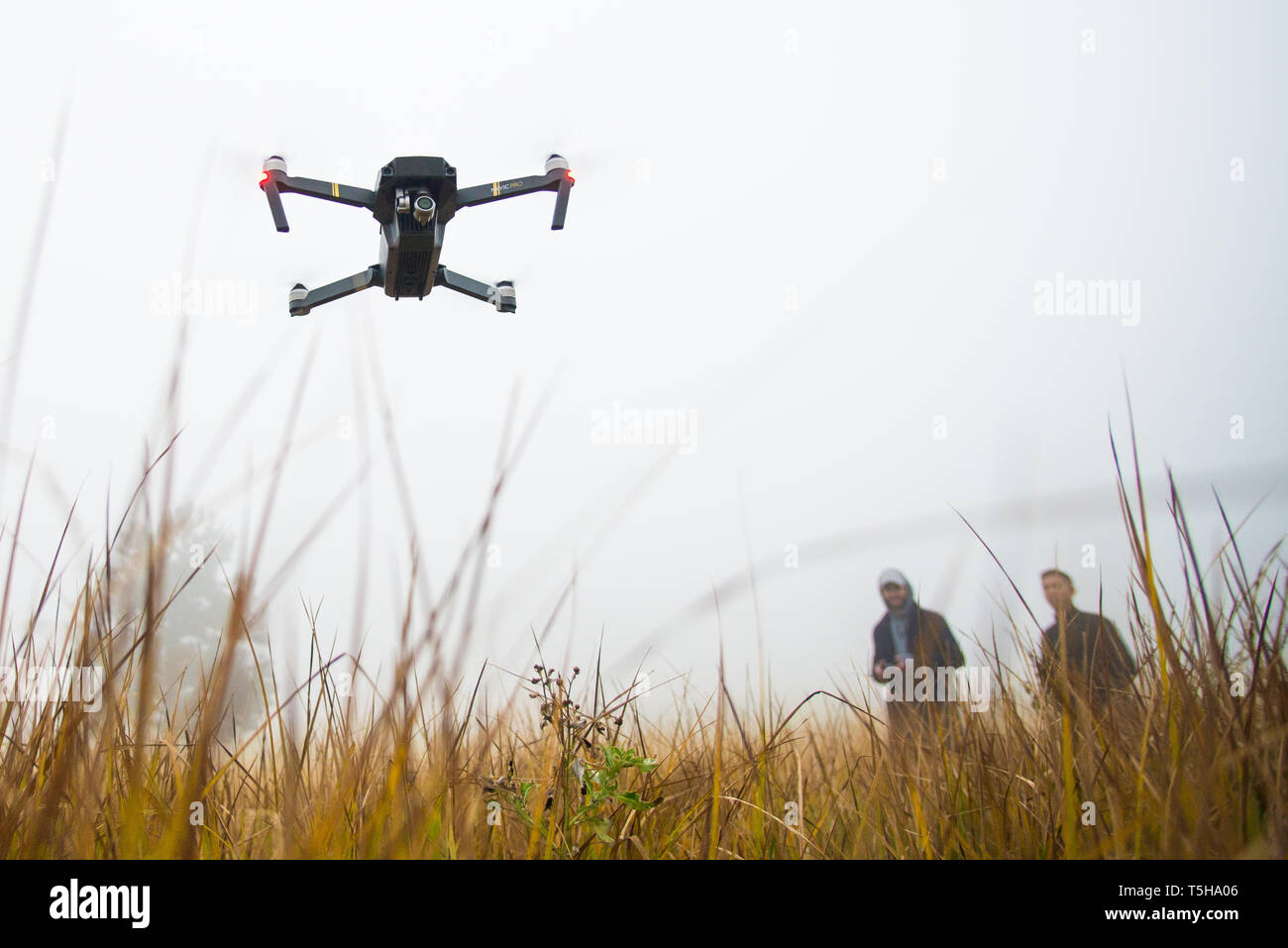 DJI Drohne Fliegen über dem Feld Stockfoto
