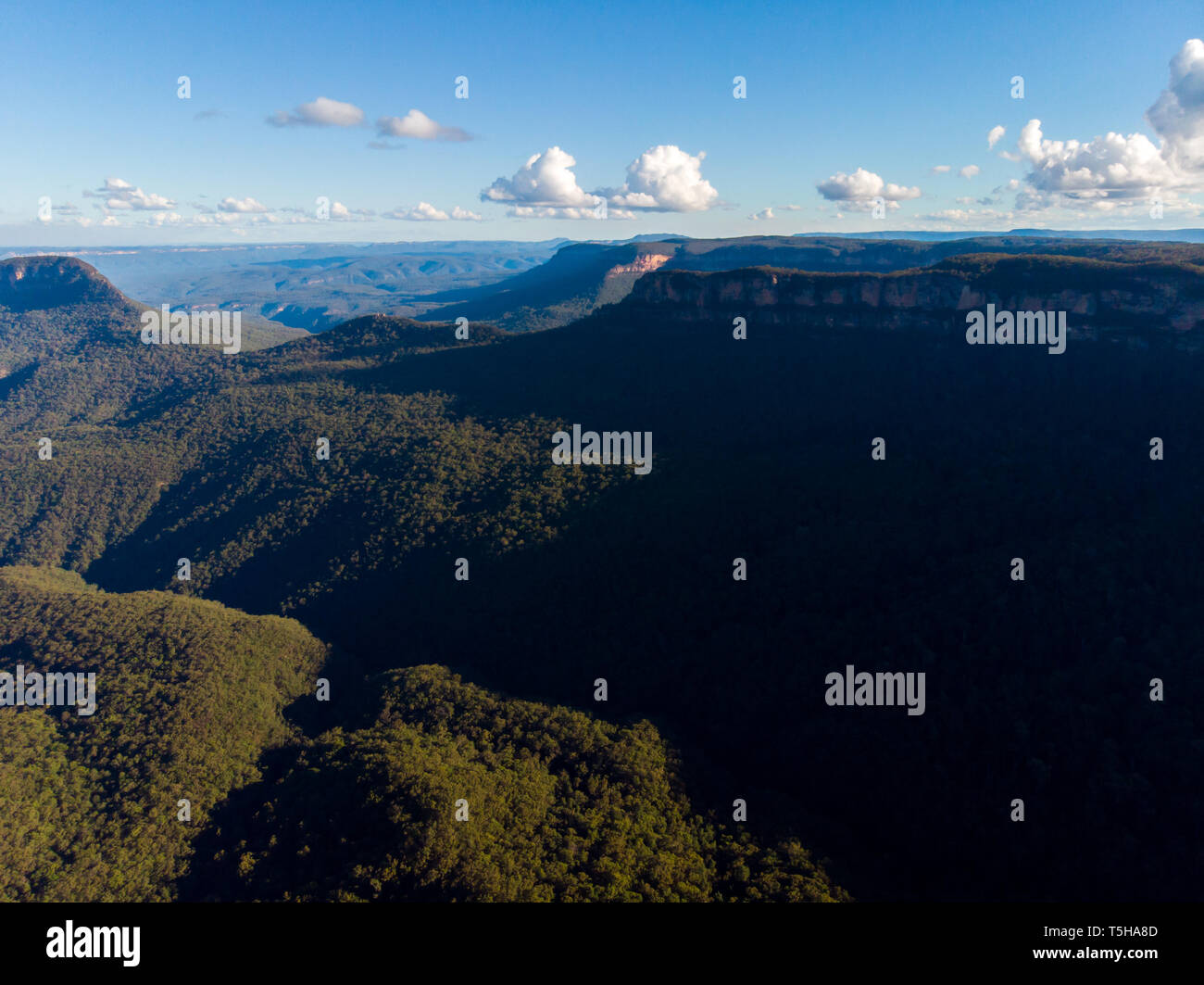 Die Blue Mountains, Katoomba, New South Wales Stockfoto