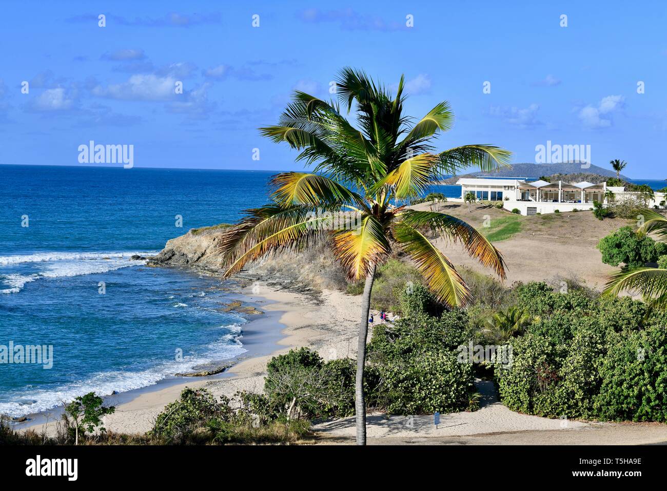 Caribbean Beach auf dem Grundstück der Buccaneer Hotel in St. Croix, United States Virgin Islands Stockfoto