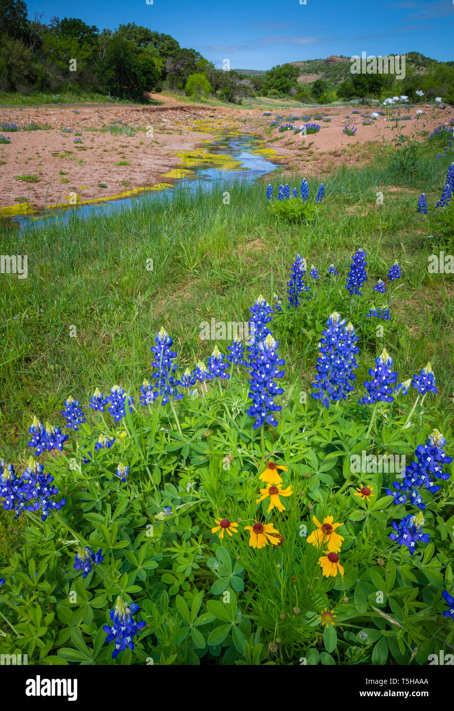Das Texas Hill Country ist ein fünfundzwanzig County Region Central Texas und South Texas. Stockfoto