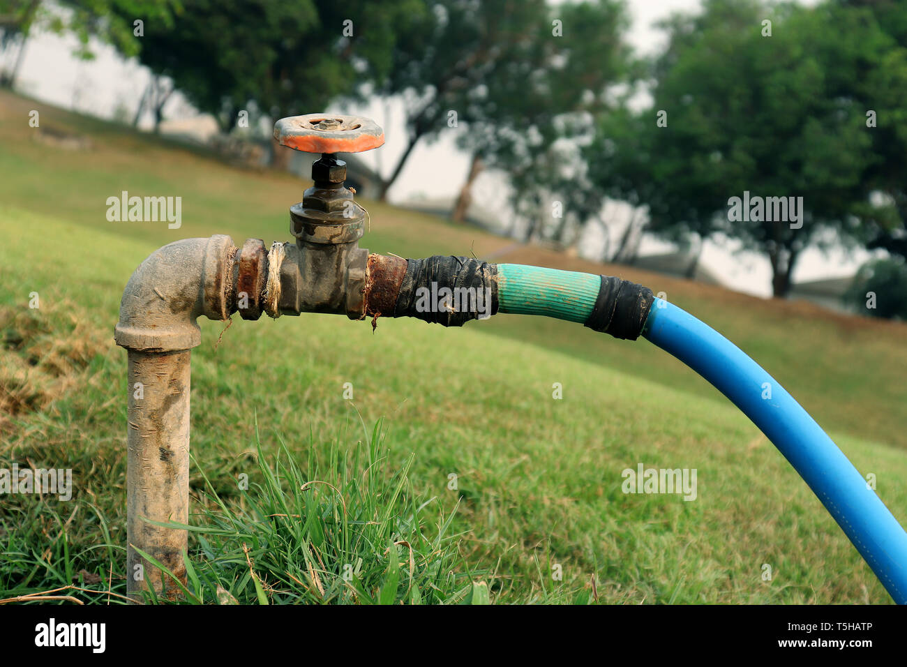 Wasserhahn Wasser vom Wasserhahn Wasserventil, Schieber in den grünen Garten  hochauflösende Bilder Galerie Stockfotografie - Alamy