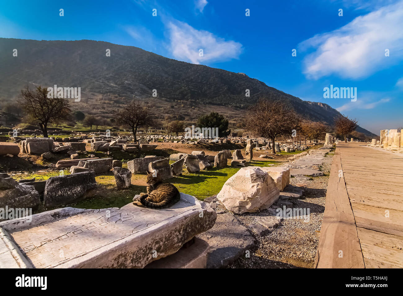 Cat Aalen in der Sonne auf einem Marmor Spiel Brett (ähnlich wie Backgammon) auf der Agora, Ruinen von Ephesus Stockfoto