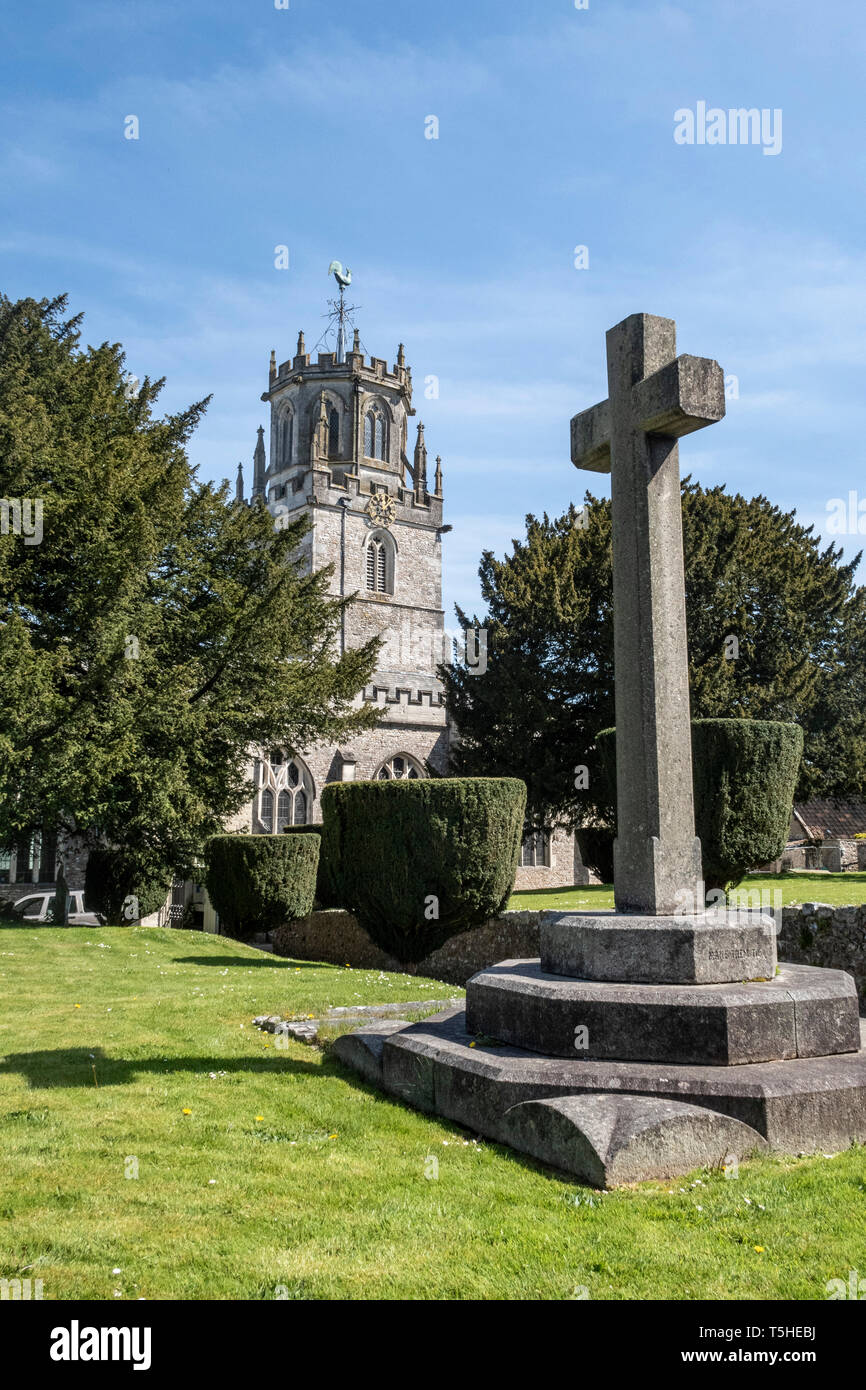 Die Kirche des hl. Andreas, Colyton, Devon. Mit memorial Cross und eingerastet yew Bäume im Garten. Stockfoto