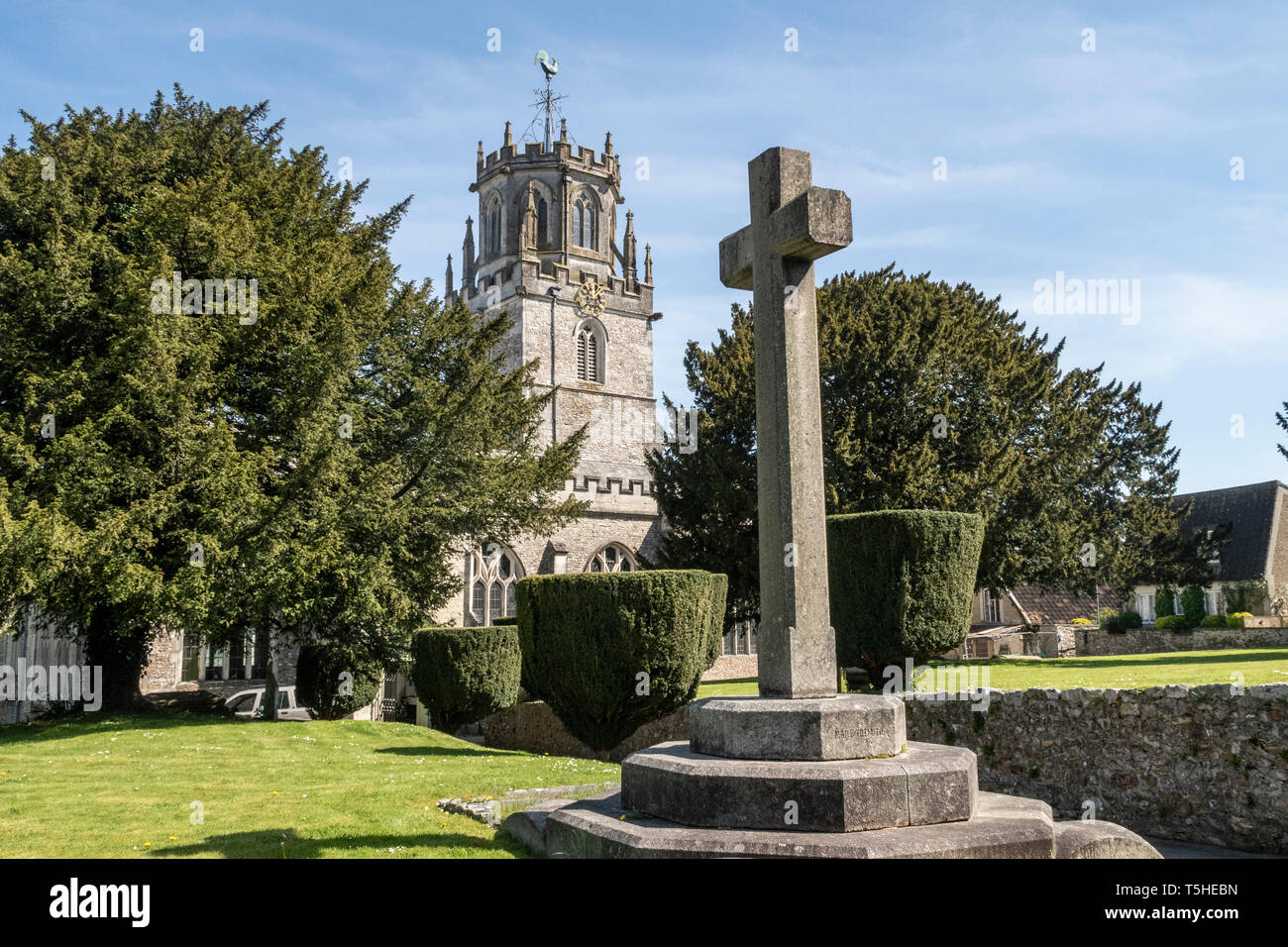 Die Kirche des hl. Andreas, Colyton, Devon. Mit memorial Cross und eingerastet yew Bäume im Garten. Stockfoto