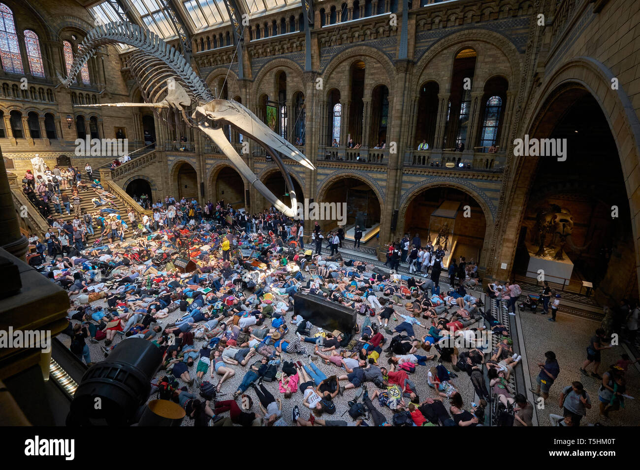 Als Teil des Aussterbens Rebellion Klimawandel Proteste, Familien sind die Inszenierung eines sterben durch auf dem Boden liegend am Natural History Museum Stockfoto