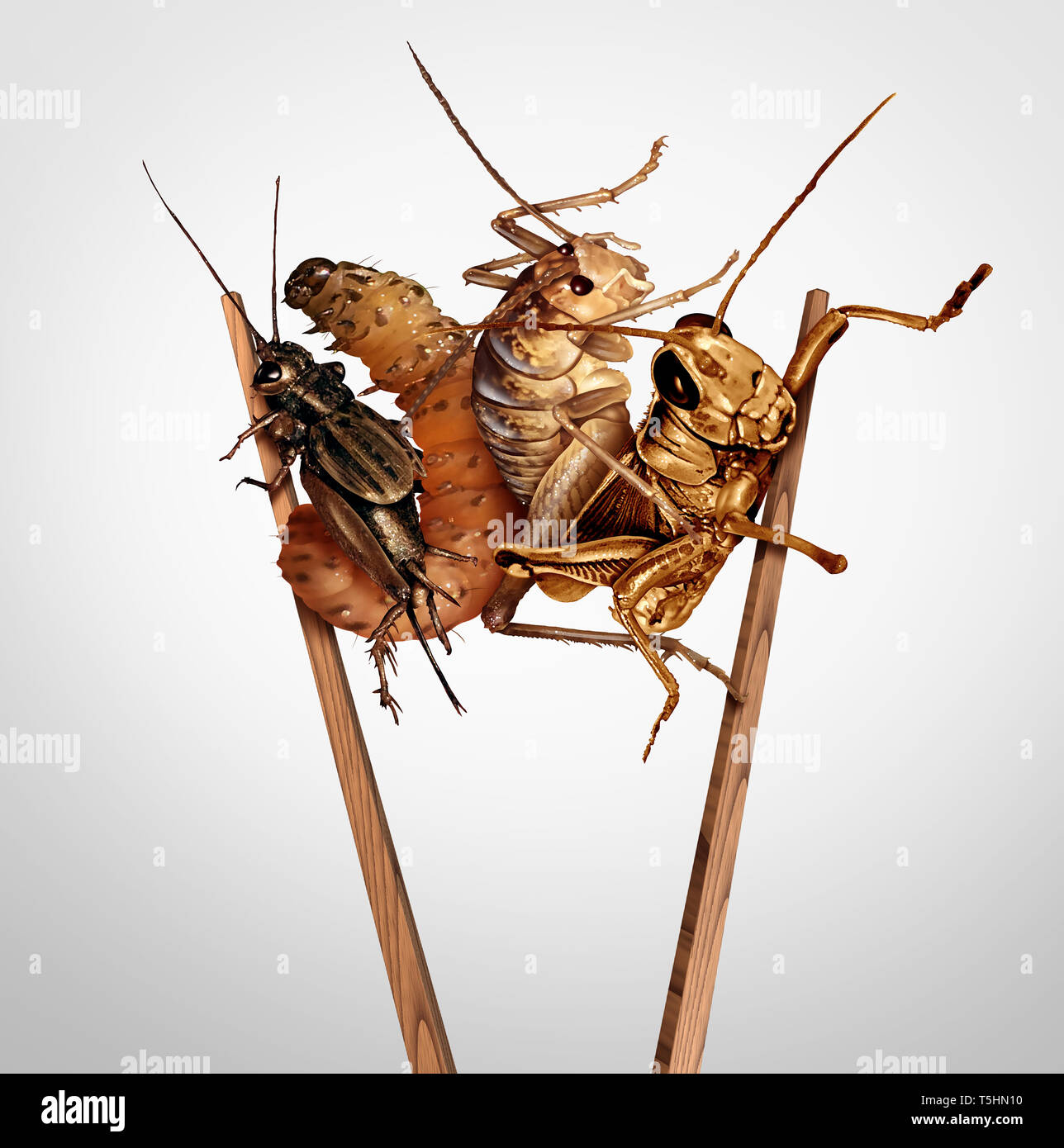Essbare Insekten und Käfer essen oder Essen insekt Snacks wie exotische Küche und alternative proteinreiche Ernährung als cricket Käfer und Larven. Stockfoto