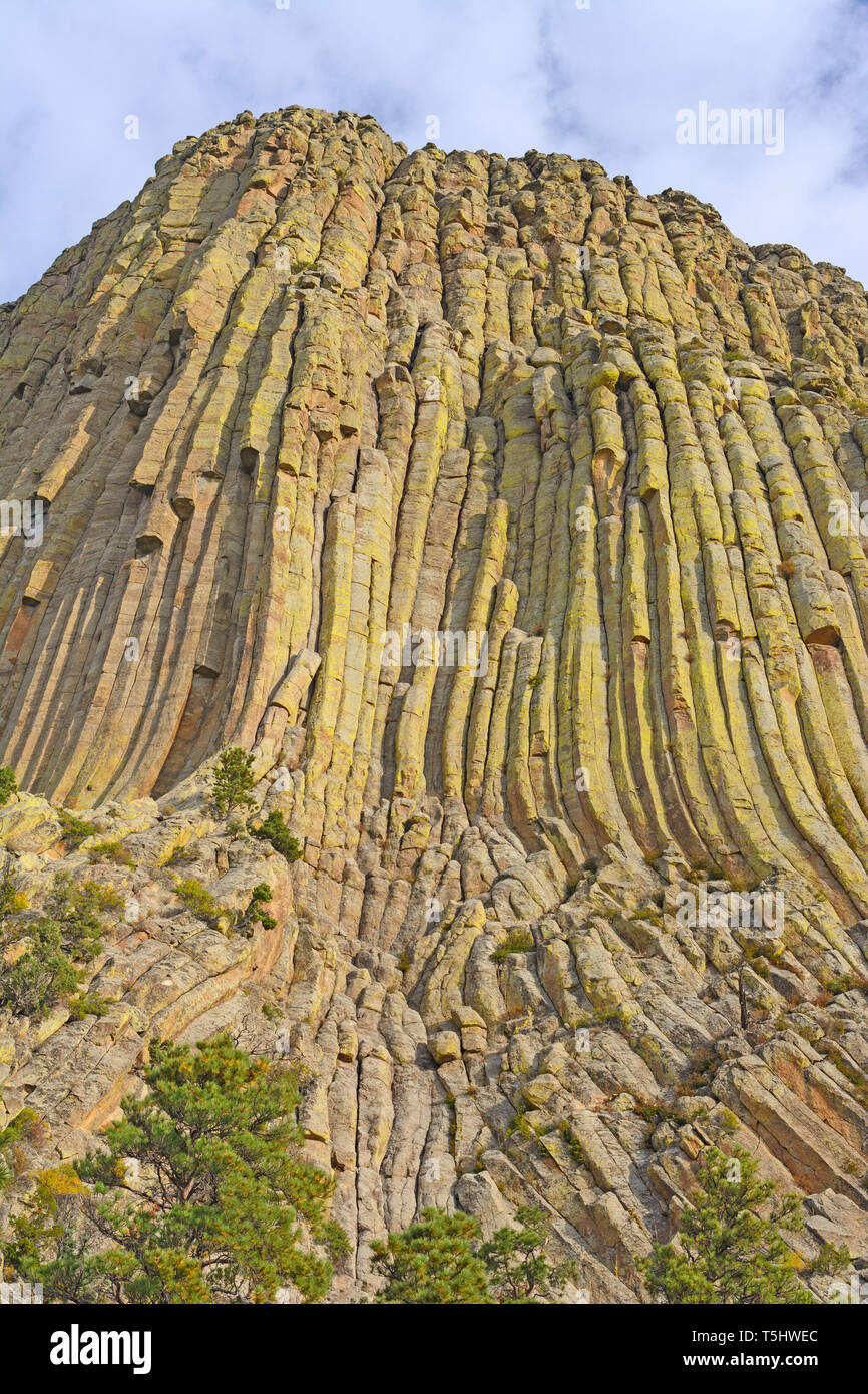 Säulig Verfugung auf Devils Tower in Wyoming Stockfoto