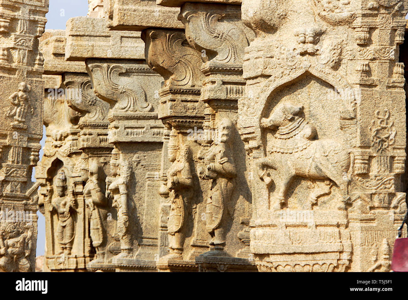 Steinsäule Schnitzereien an Veerabhadreswara Tempel in Lepakshi, Andhra Pradesh, Indien. Asien Stockfoto