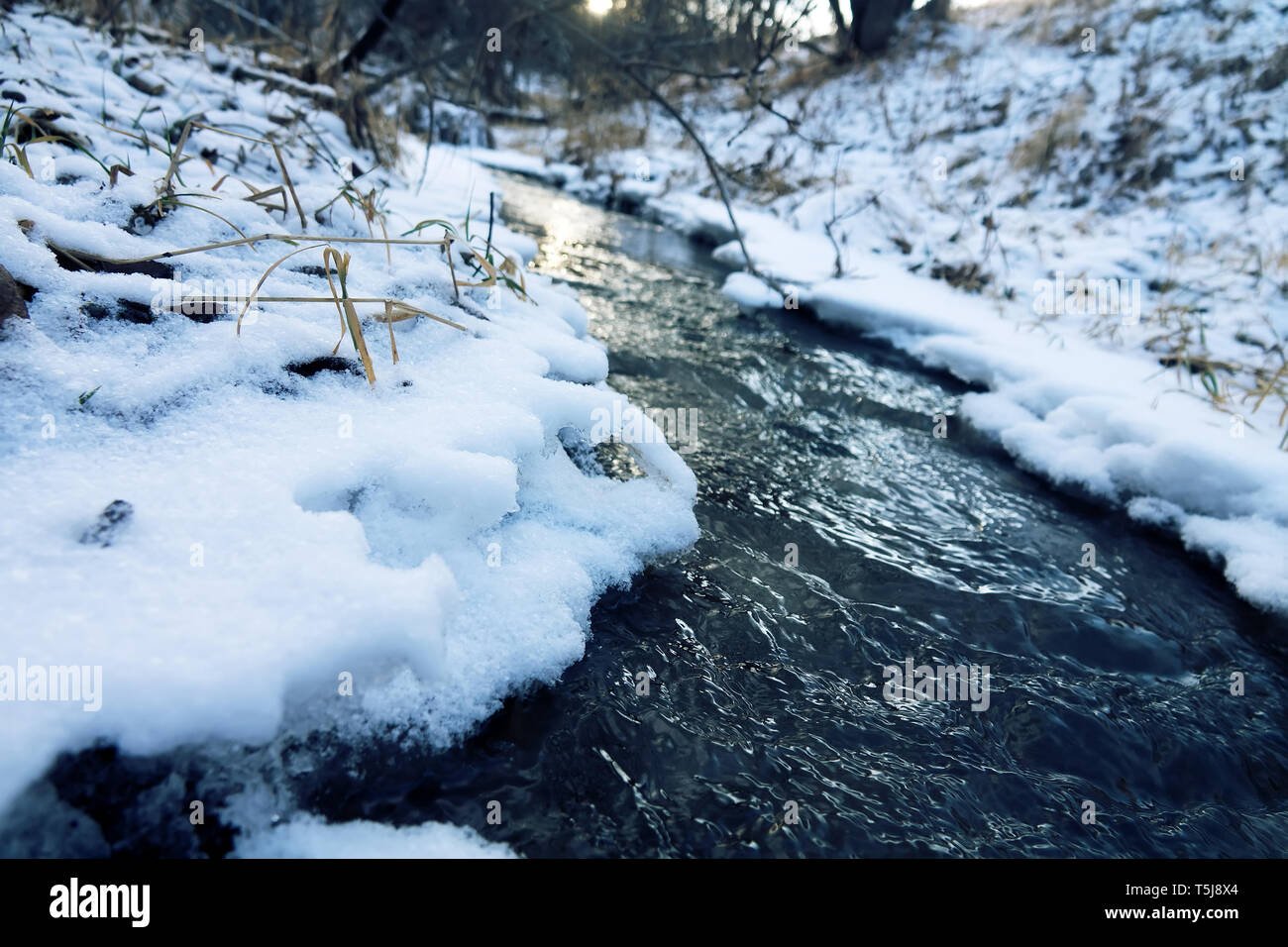 Winter stream. Der Stream läuft unter den eisigen Ufern Stockfoto