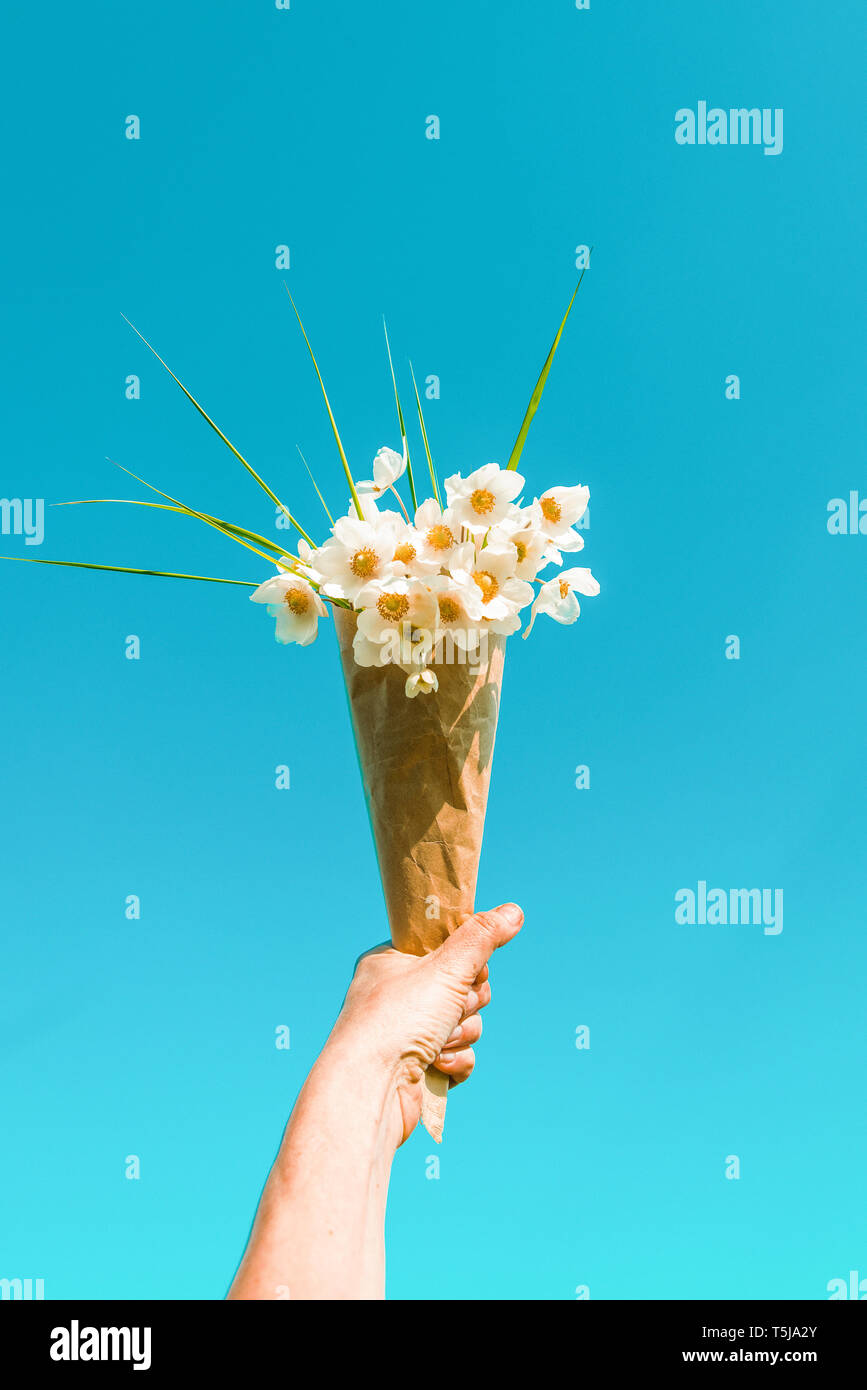 Weiße Blumen in der Hand gegen den blauen Himmel. Sommerurlaub Konzept Konzeptionell Realismus Stockfoto