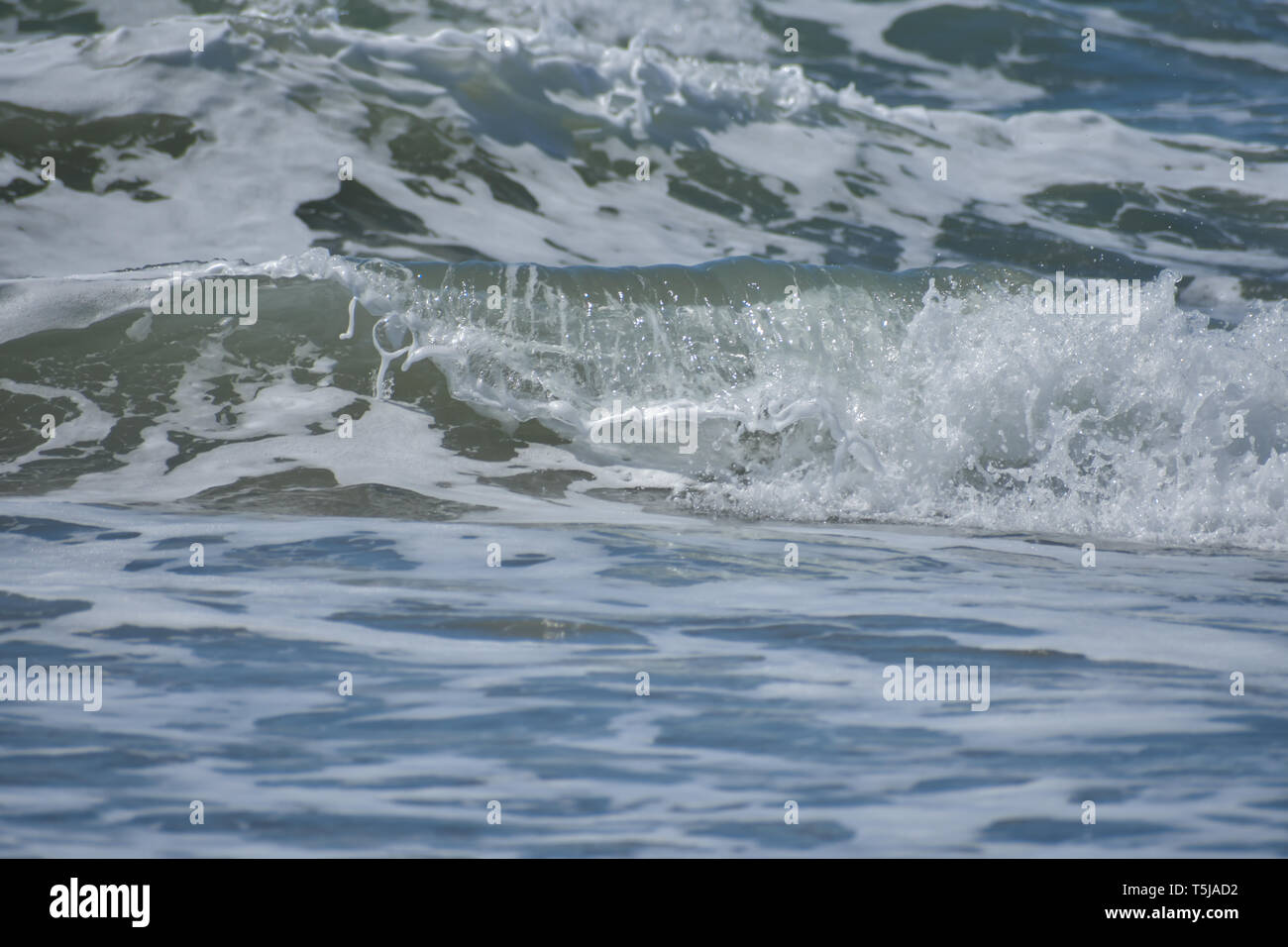 Eine rollende Ocean Wave auf dem Ufer bilden eine schäumende Gischt. Stockfoto