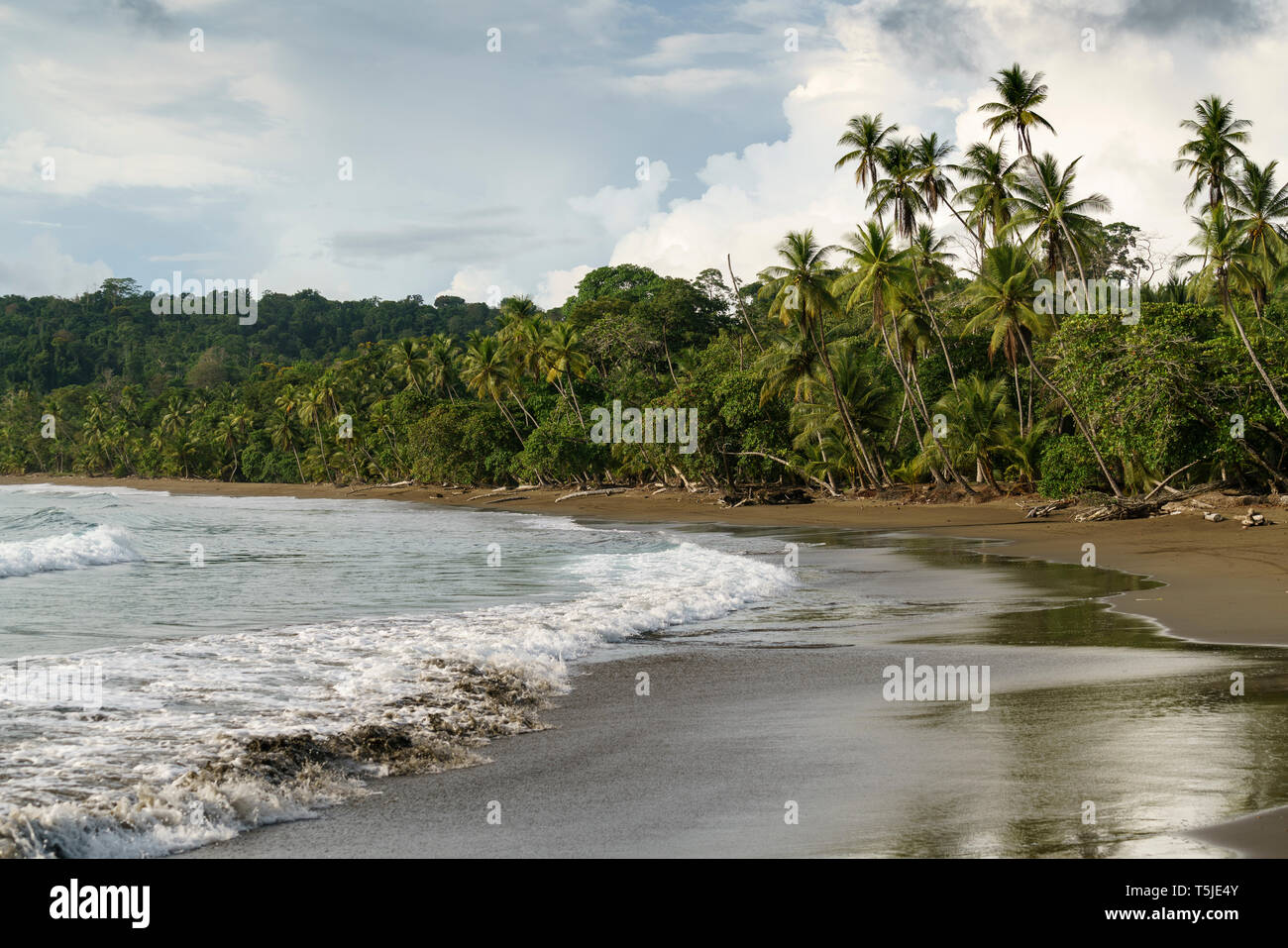 Natürliche Strand im Süden von Costa Rica in der Nähe von Corcovado Nationalpark. Rincón de San Josecito, Agujitas de Drake, Provinz Puntarenas, Costa Rica Stockfoto