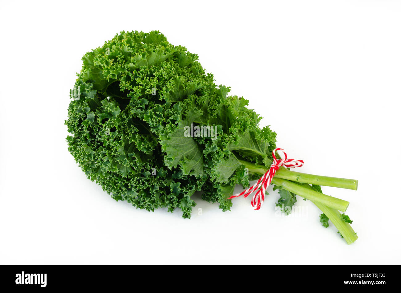 Bündel der amerikanischen Kale auf weißem Hintergrund. Ansicht von oben. Stockfoto